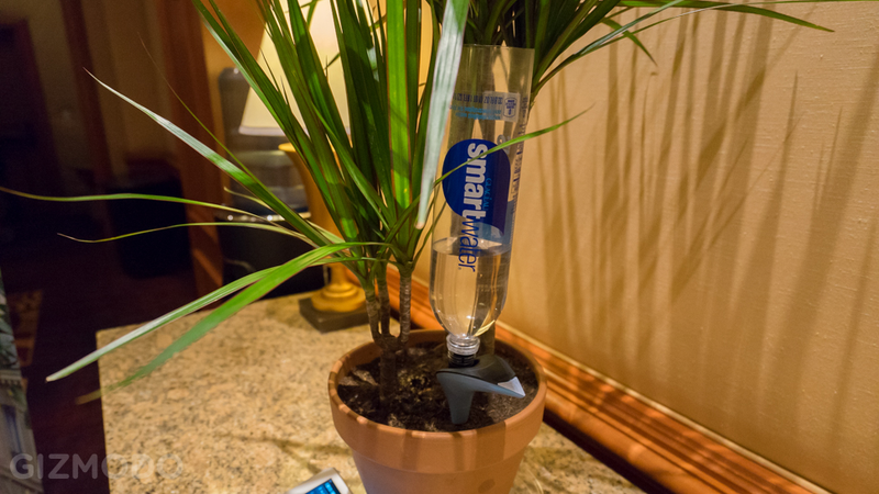 Illustration for article titled Parrot's New Greenthumb Gadgets Take Care of Your Plants Automatically